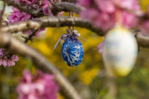 Decorative Easter egg hanging on flowering cherry tree with pink flowers. 스톡 사진