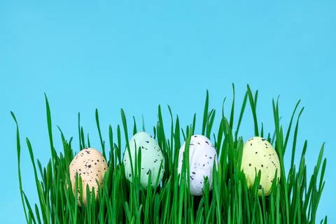 Decorative Easter eggs on green grass close-up. Place for text. Stock Photos