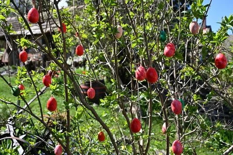 Decorative Easter eggs hanging on green garden bush branches Stock Photos