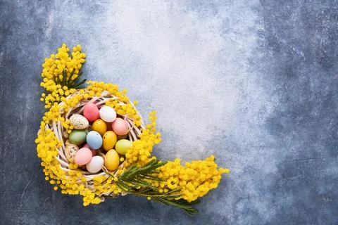 Decorative Easter eggs in mimosa wreath on a bright blue background. Stock Photos