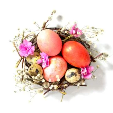 Decorative Easter eggs in nest isolated on white background. Foto stock