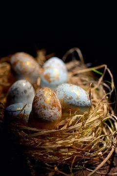 Decorative easter eggs in nest 스톡 사진