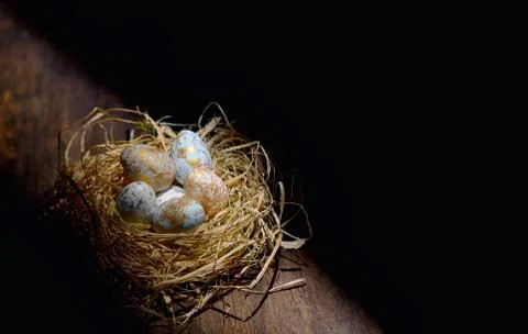 Decorative easter eggs in nest 스톡 사진