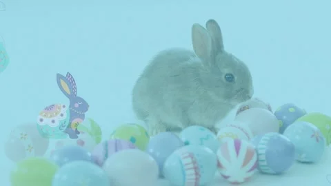 Decorative easter pattern design against easter bunny and decorative easter eggs Stock Footage 176929308