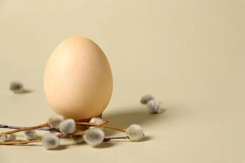 Decorative egg with soft branches placed on a plain surface Foto stock