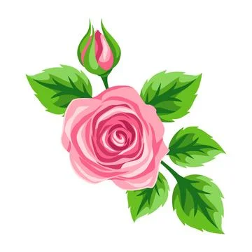 Decorative element with roses. Beautiful realistic flowers, buds and leaves. イラスト素材
