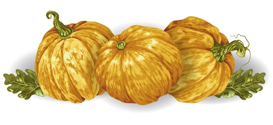 Decorative element in vector with pumpkins and autumn leaves Stock Illustration