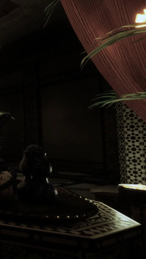 Decorative elements and indoor plants in a dimly lit space with rich textures Stock Footage 331708381