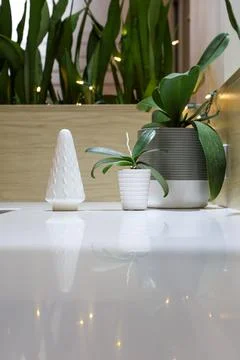 Decorative elements and plants arranged on a shiny table in a bright modern.. Foto stock