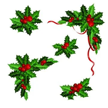 Decorative elements with Christmas holly set Stockillustratie