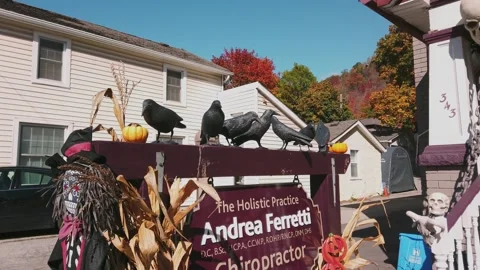 Decorative elements for the facade of a house and garden for the Halloween  Video stock 255613183