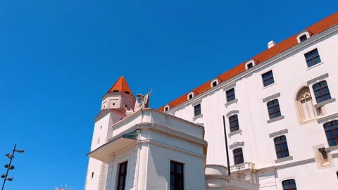 Decorative elements in historical architecture.  Stock Footage 313289737