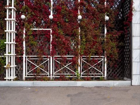 Decorative elements made of artificial materials and special plants Stockfoto's