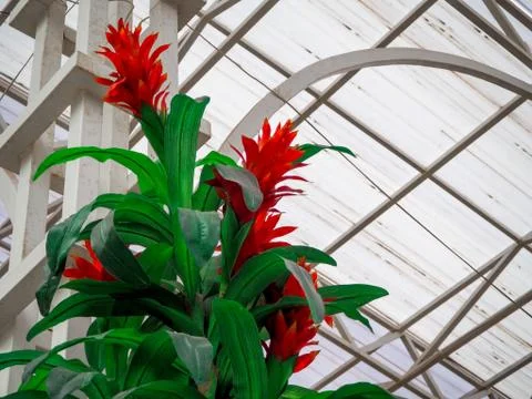 Decorative elements made of artificial materials and special plants Stock-Fotos