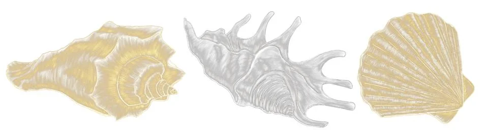 Decorative elements on a marine theme, hatched illustrations of gold and silv Stock Illustration