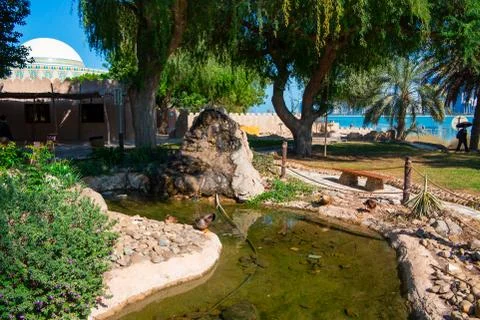 Decorative elements of urban improvement in the resort town - bed made of nat Stock Photos