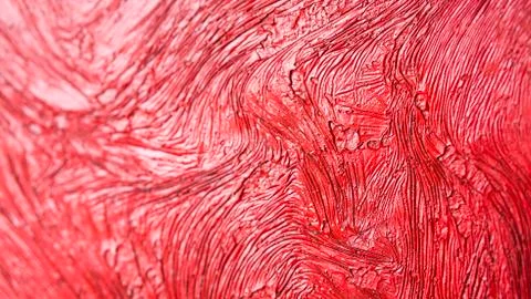 Decorative elements,patterns. Stock Photos