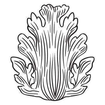 Decorative engraving scroll acanthus leaf design element Stock Illustration