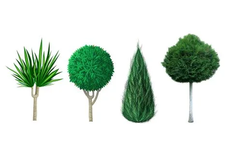 Decorative evergreen plants Stock Illustration