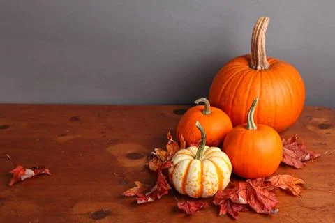 Decorative fall pumpkins Stock Photos