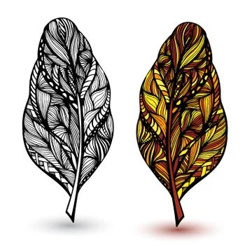 Decorative feathers. Hand drawn vector illustration Stock Illustration