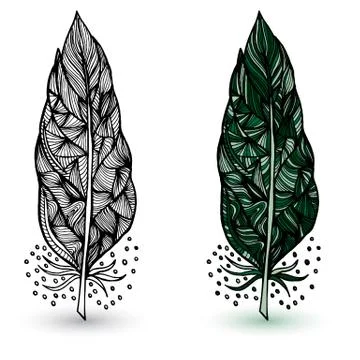 Decorative feathers. Hand drawn vector illustration Stock Illustration
