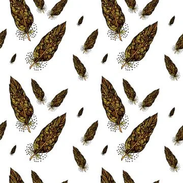 Decorative feathers Stock Illustration