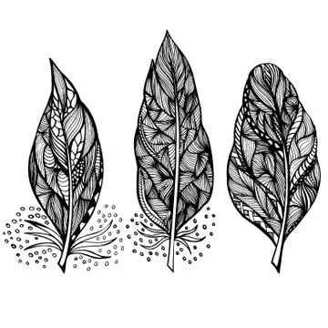 Decorative feathers Stock Illustration