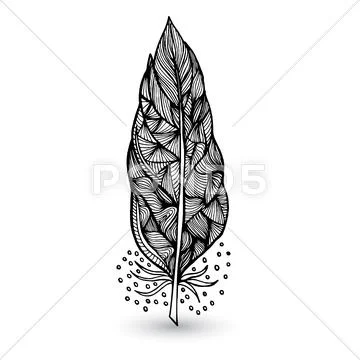 Decorative feathers 스톡 일러스트