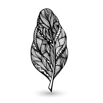 Decorative feathers Illustrazione stock