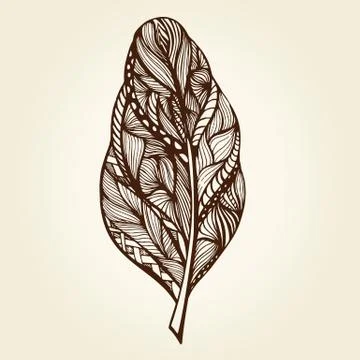 Decorative feathers Stock Illustration