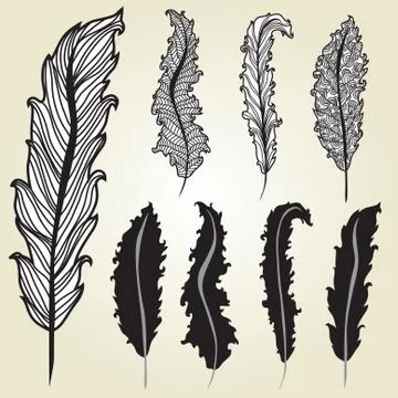 Decorative feathers set Stock Illustration