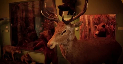 Decorative feature - stuffed deer head on red brick wall Stockbeeldmateriaal 79959070