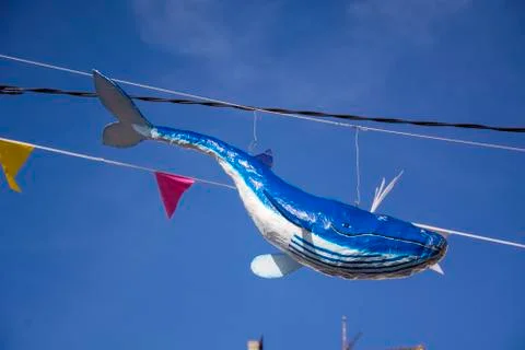 Decorative fish Stock Photos