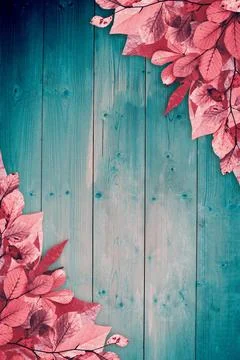 Decorative flat-lay featuring teal-painted wooden planks with pink-tinted leaves Stockfoto's