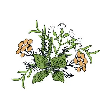 Decorative floral bunch Stock Illustration