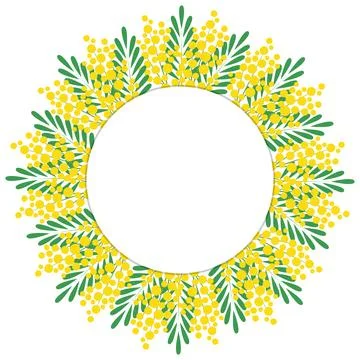 Decorative floral circular frame. Frame made of branches of a blooming mimo.. Illustrazione stock