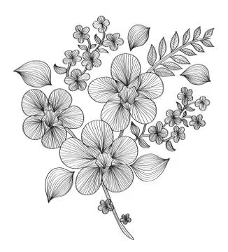 Decorative floral element Illustrazione stock