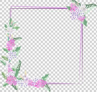 Decorative floral frame with tiny flower isolated on transparency background Stock Illustration