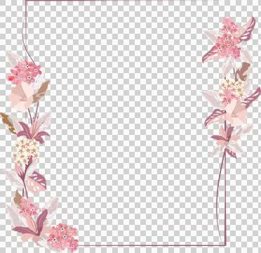 Decorative floral frame with tiny flower isolated on transparency background Stock Photos