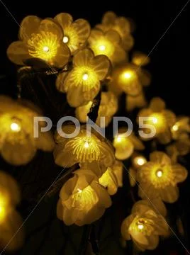 Decorative floral lights Stock Photos