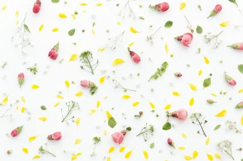 Decorative floral pattern Stock Photos