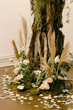 Decorative floral setup with natural elements around a tree base in an indoor Stock Photos