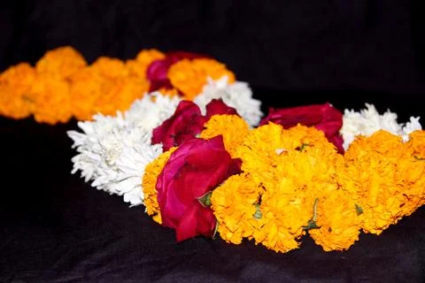 Decorative flower background Stock Photos
