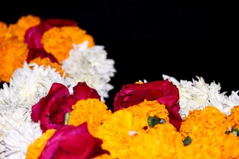 Decorative flower background Stock Photos