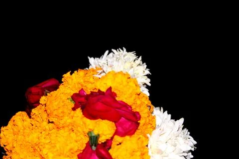 Decorative flower background Stock Photos
