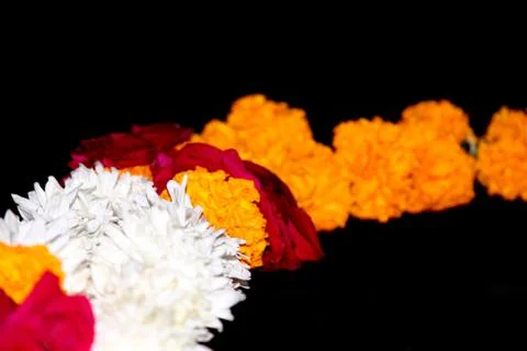Decorative flower background Stock Photos