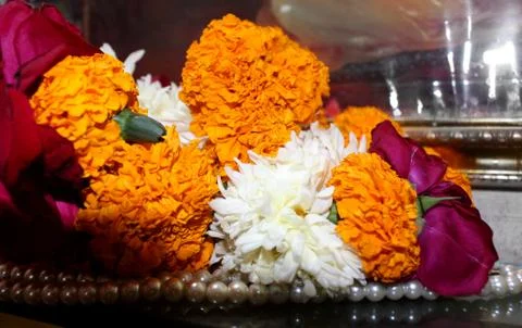 Decorative flower background Stock Photos