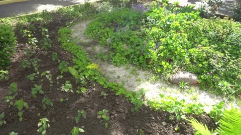 Decorative flower bed in kindergarten Stock-Footage 76213932