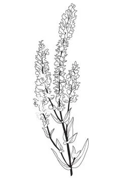 Decorative flower Stock Illustration